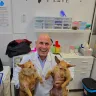 Carles Vich, veterinary dermatologist at Dermovet, Badavet collaborator