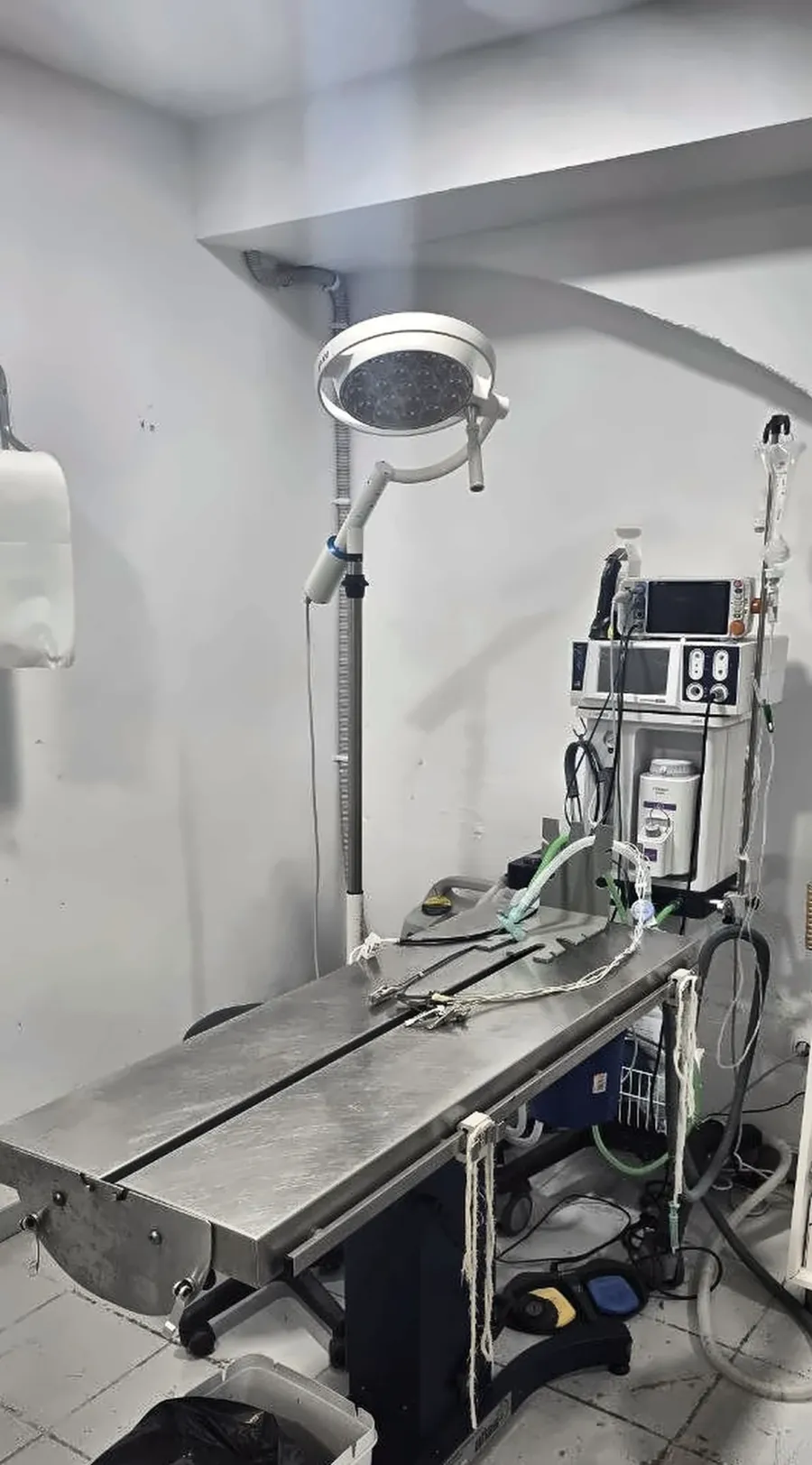 Quiròfan veterinari de Badavet