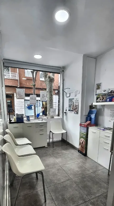 Waiting room at Centre Veterinari Badavet