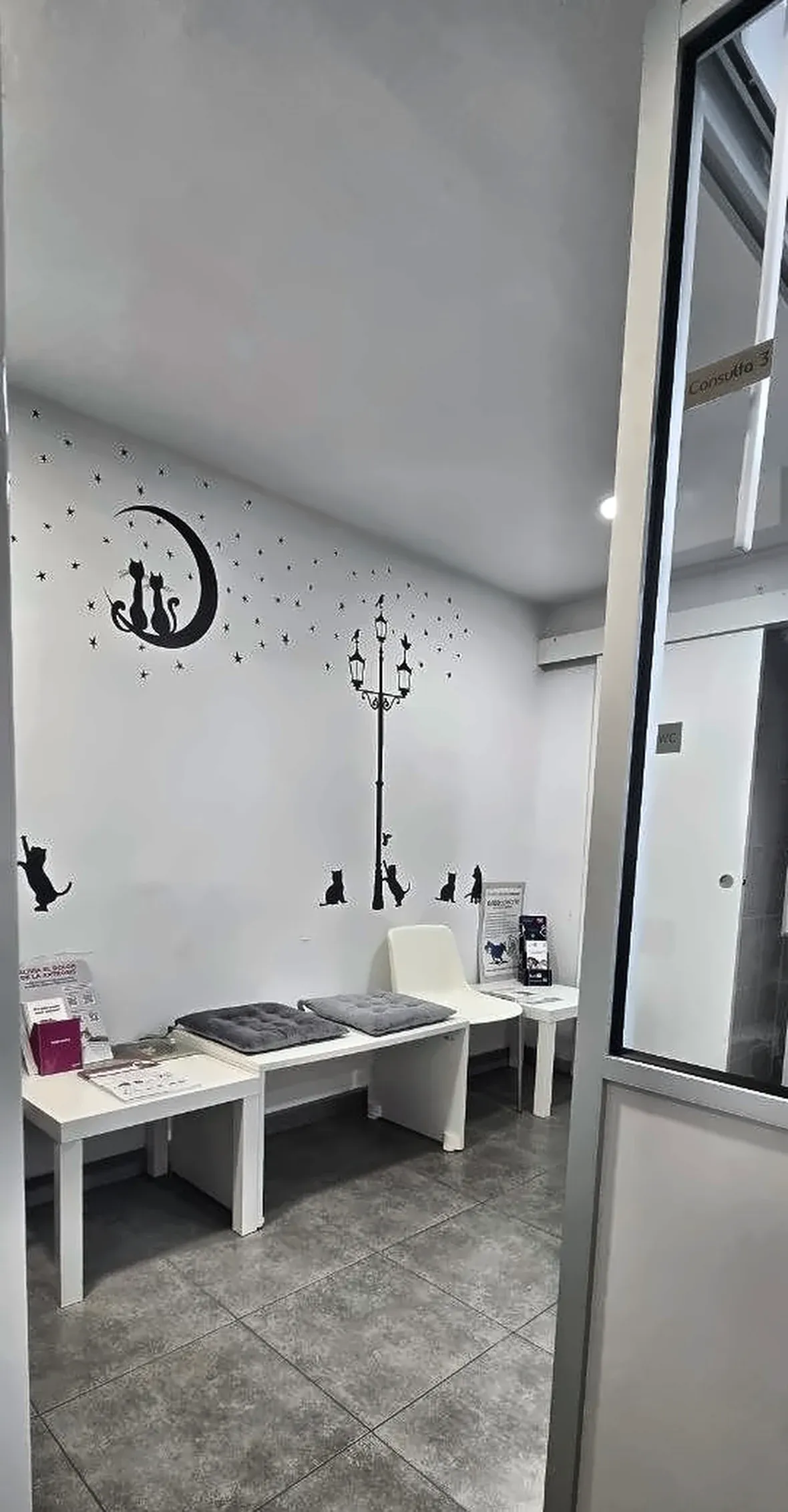 Cat waiting area at Badavet