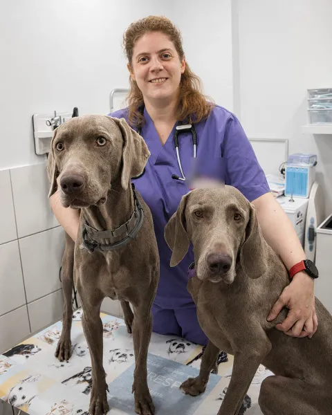 Elisabet, veterinària de Badavet, amb dos gossos a la consulta