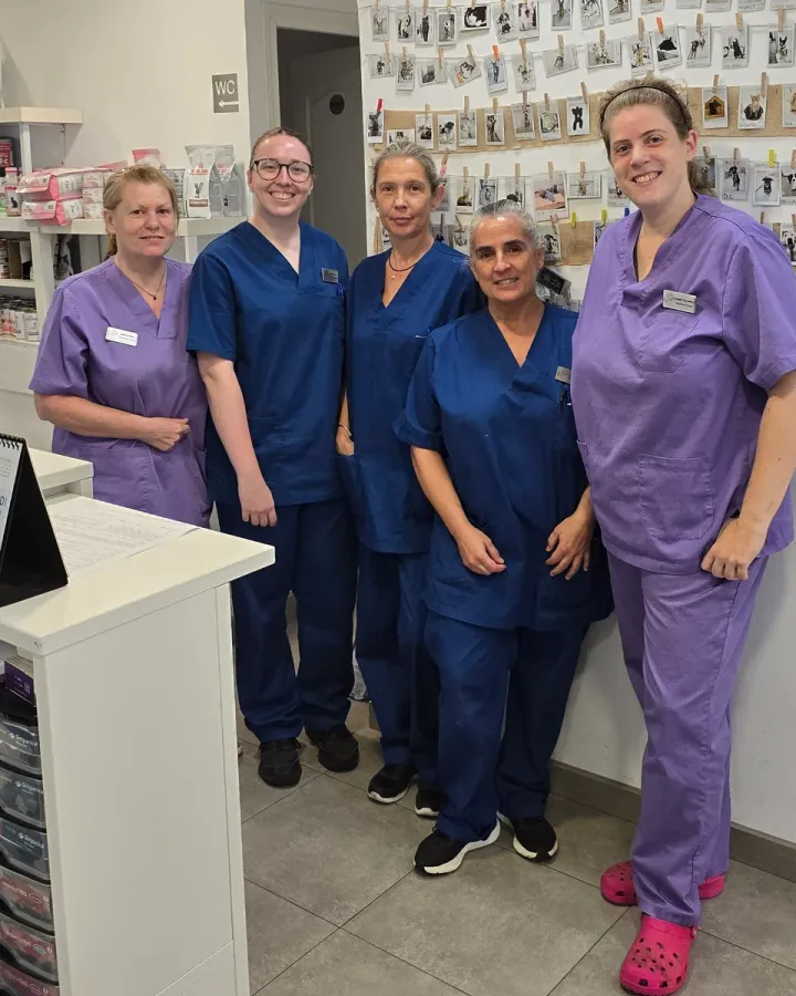 El equipo del Centre Veterinari Badavet en la clínica